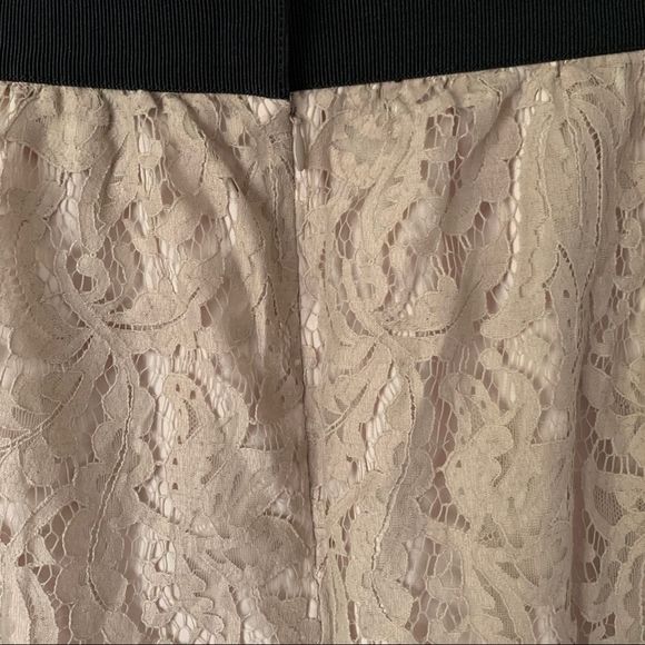 Loft Lace Skirt Size 12 - Picture 3 of 8
